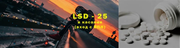 индика Алзамай