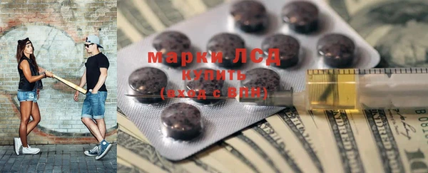 индика Алзамай
